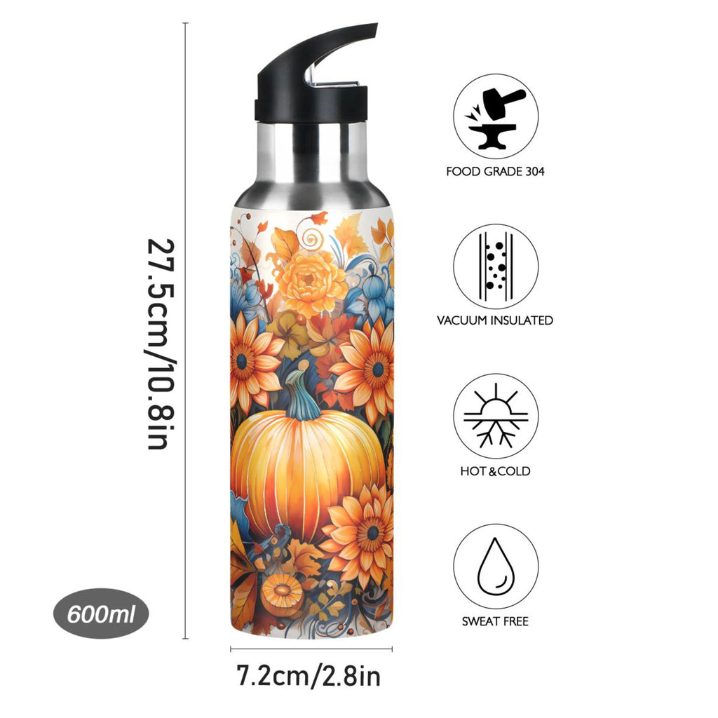 Stainless Steel Insulated Water Bottle with Straw Lid X29125