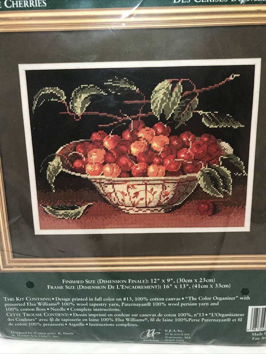 Needlepoint Kit V881889