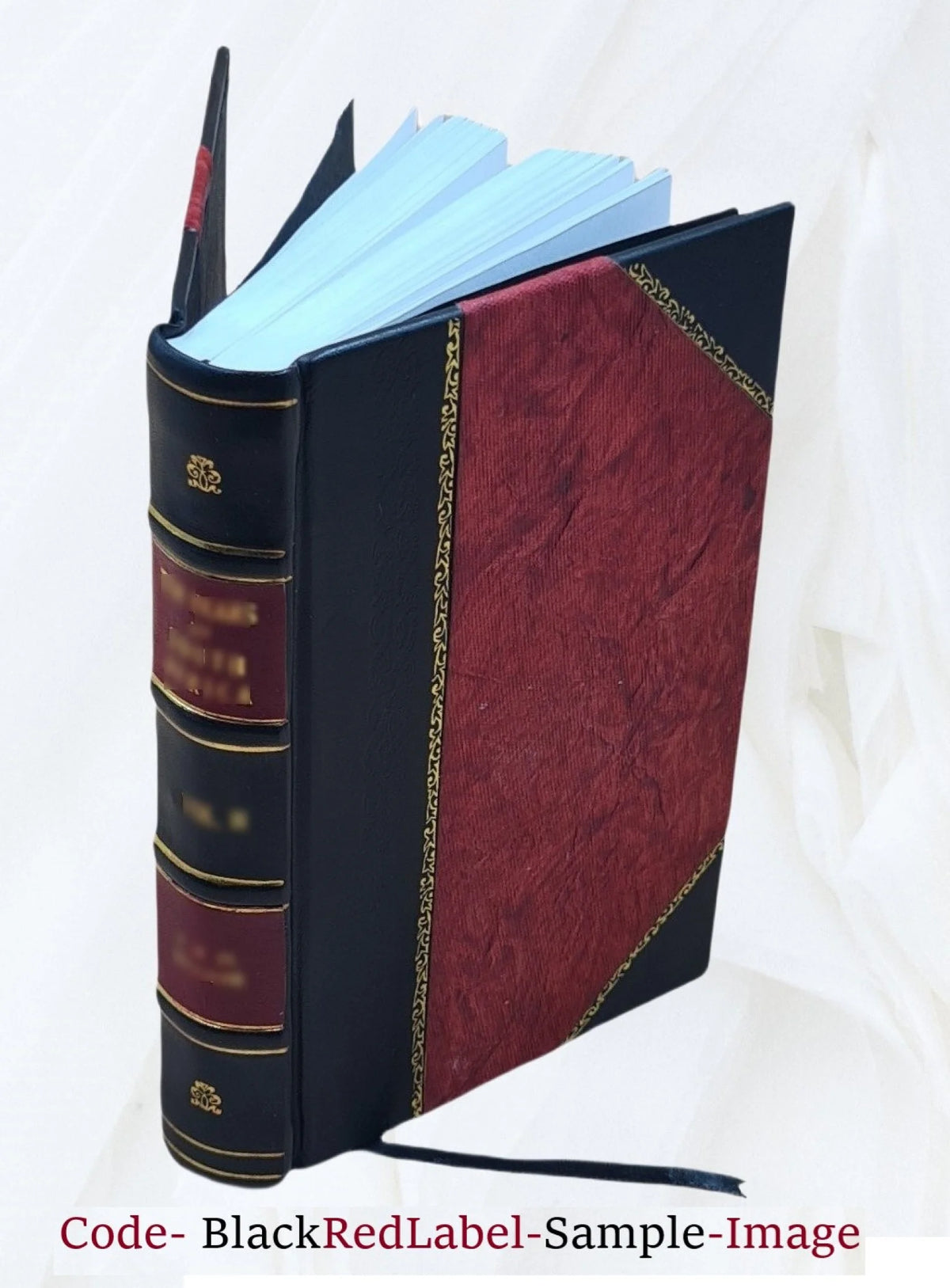 Leather Bound Book C1902